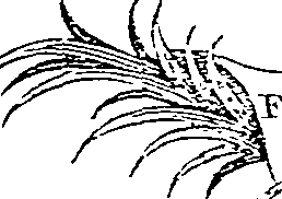 055/055830040002350_1.png