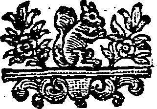 055/055880010200150_0.png