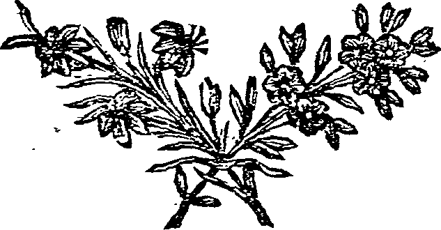 055/055880020000040_0.png