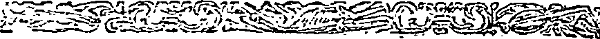 055/055880110002450_0.png