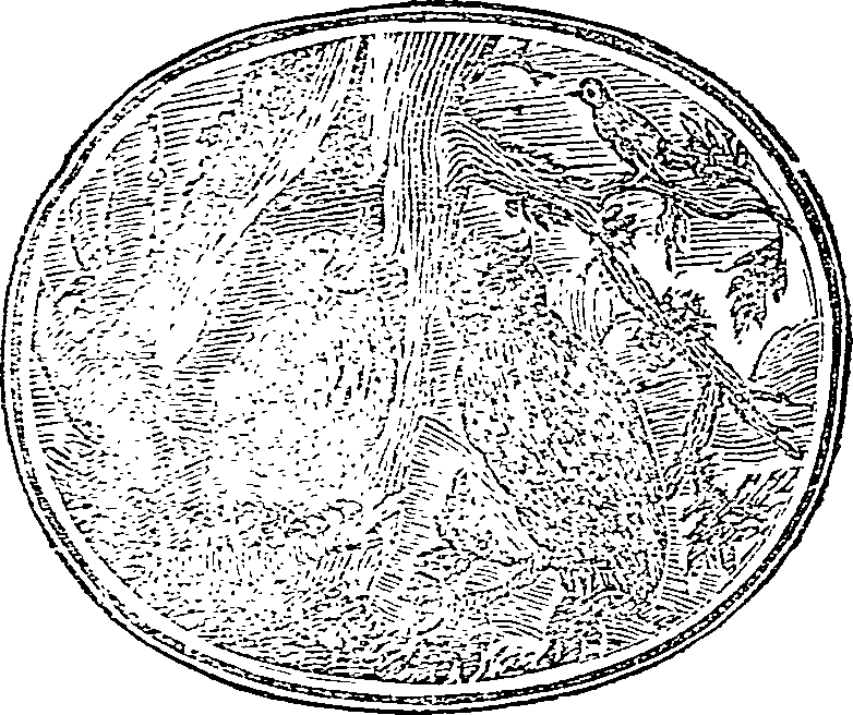 055/055890030000830_0.png