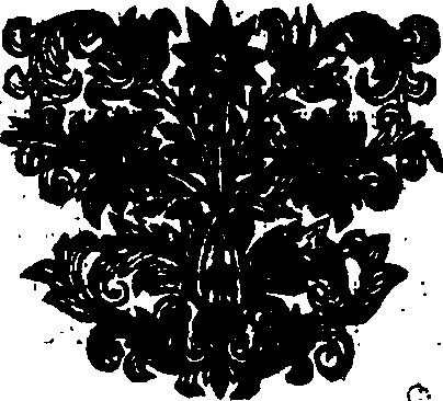 056/056000030000190_0.png