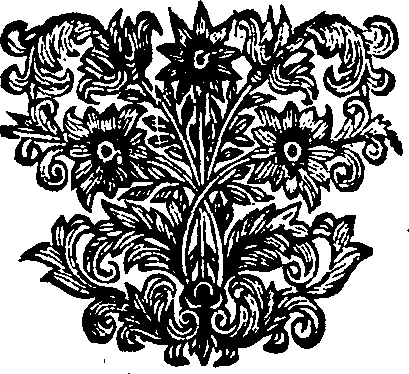 056/056000030002850_0.png