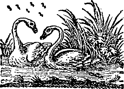 056/056040100201390_0.png