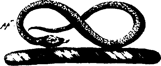 056/056100010100490_1.png