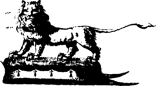 056/056100010200310_2.png