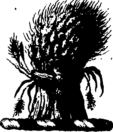 056/056100010300900_1.png
