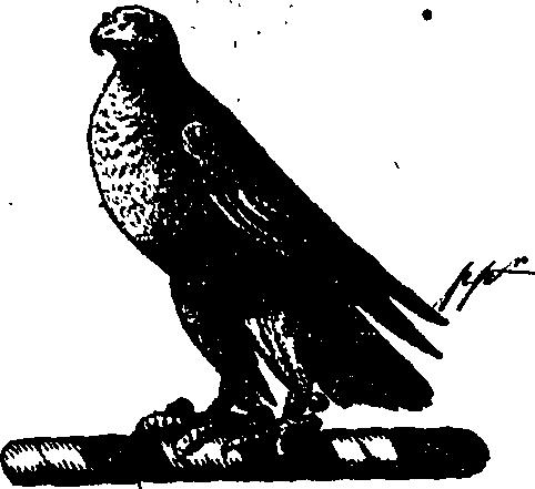 056/056110010400250_0.png