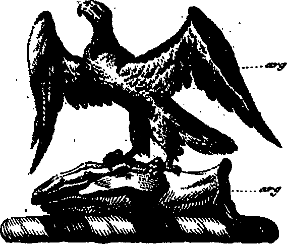 056/056110010400930_1.png