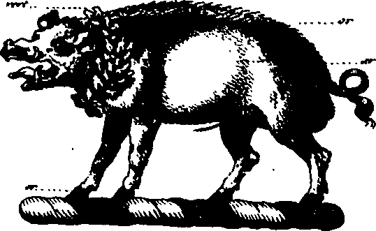 056/056110010500320_1.png