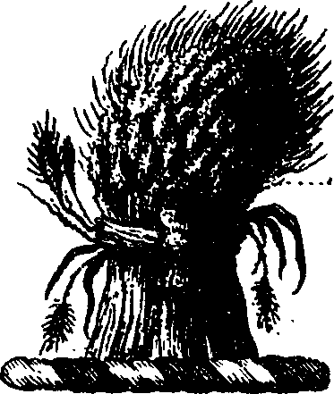 056/056110010600140_1.png