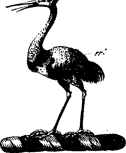 056/056110010601010_0.png