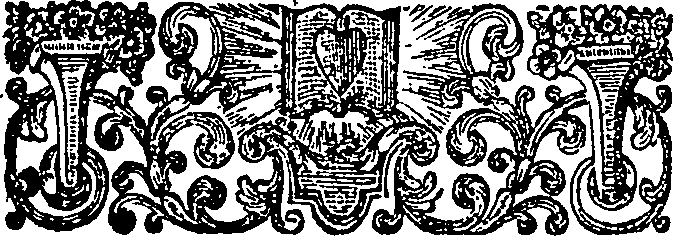 056/056180010000520_1.png