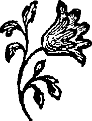 056/056180040000100_0.png