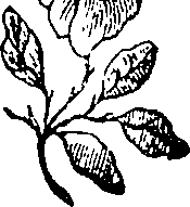 056/056180040000220_0.png