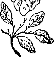 056/056180040000240_0.png
