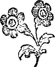 056/056180040000580_0.png
