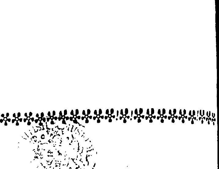 056/056400080000020_1.png