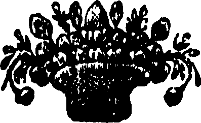 056/056490010105960_0.png