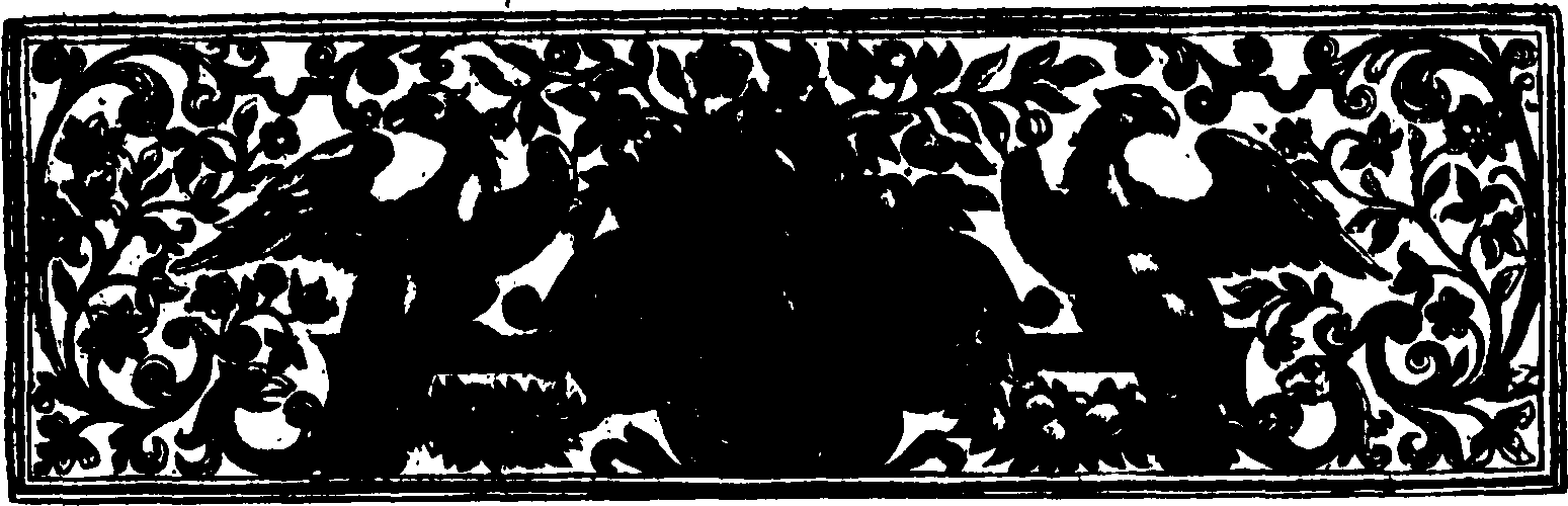 056/056490010202490_2.png