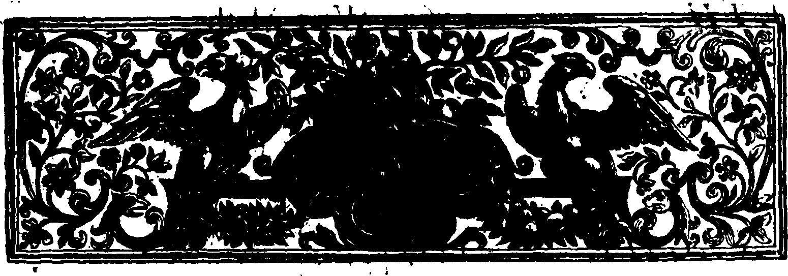 056/056490010203110_0.png