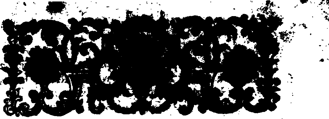 056/056520020000020_2.png