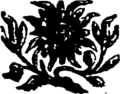 056/056630020000040_0.png