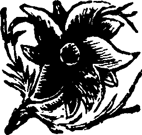 056/056870070000150_0.png