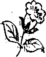 057/057240070400680_0.png