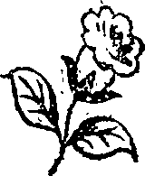 057/057240070402890_0.png