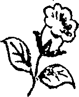 057/057240070403180_0.png