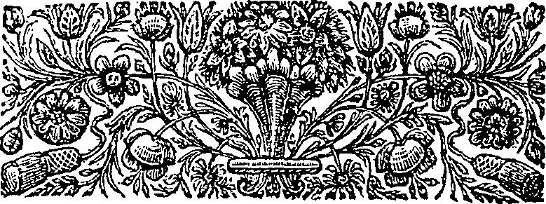 057/057430070000080_2.png