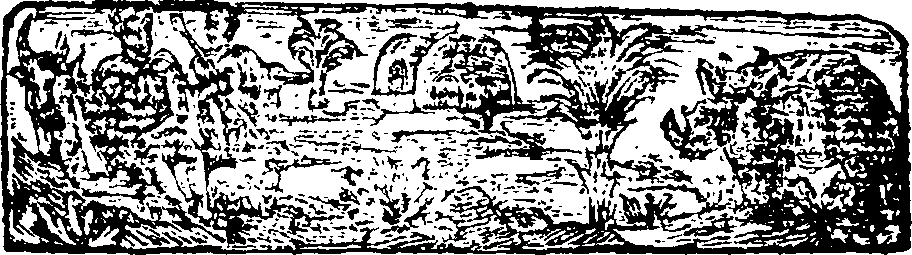 057/057470020003250_2.png