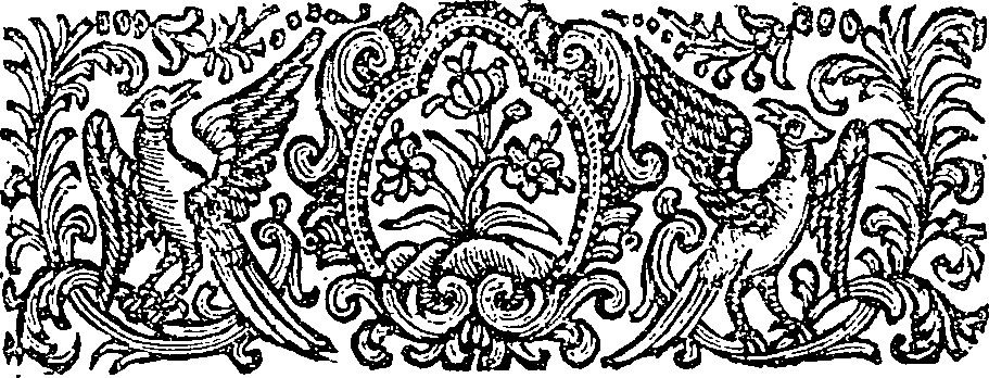 057/057480010003440_1.png