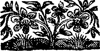 057/057580040000010_0.png