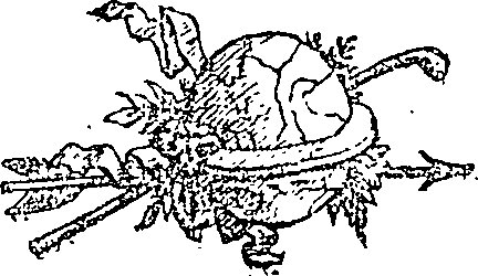 057/057640010102470_0.png