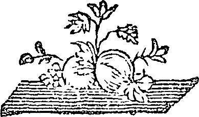 057/057640010201970_0.png