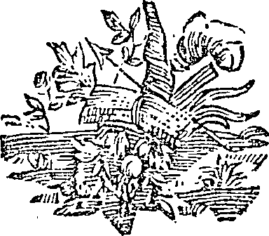057/057640010202390_0.png