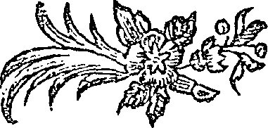 057/057640010202500_0.png