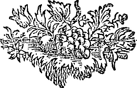057/057640010202580_0.png