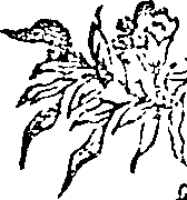 057/057640010302520_0.png