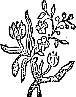 057/057680010000030_0.png