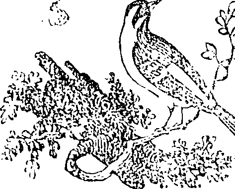 057/057710100000600_0.png