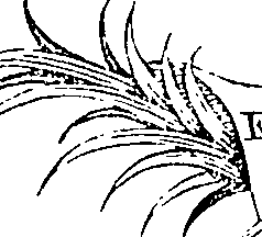 057/057720070001260_0.png