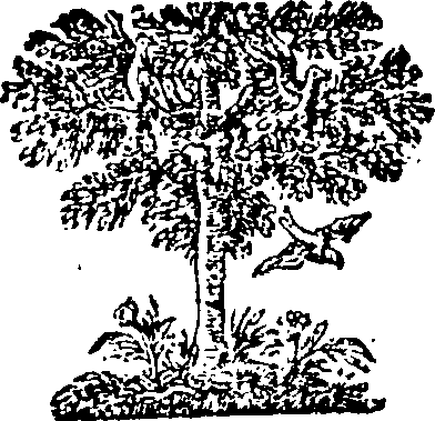 057/057730040003160_0.png