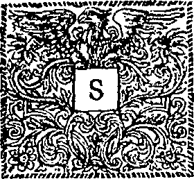 057/057800060003980_1.png