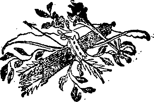 057/057830060000530_0.png