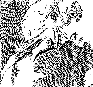 057/057850200000020_0.png