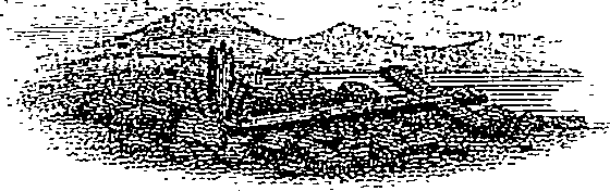057/057850290000020_0.png