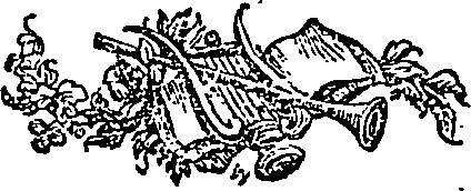 058/058010150000020_0.png